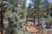 Enlarge photo 23