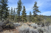 Camp AREV