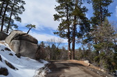 Camp Cedar Lake