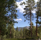 Enlarge photo 19