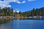 Enlarge photo 15