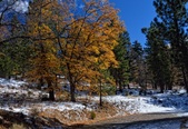 Enlarge photo 18