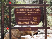 Camp de Benneville Pines
