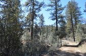 Enlarge photo 22
