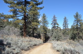 Enlarge photo 3