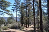 Camp Lakota