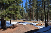 Enlarge photo 21