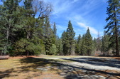 Idyllwild Pines Camp
