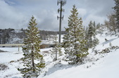Enlarge photo 23