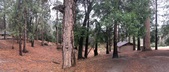 Enlarge photo 1