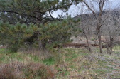 Twin Pines Ranch