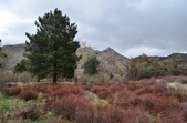 Enlarge photo 16
