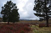 Enlarge photo 17