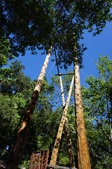 Small Zipline at Calamigos Ranch