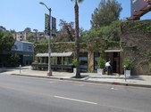 Ceremony Bar 11814 Ventura Blvd. Studio 