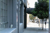 The Argyle