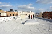 EXT/ TAR BEACH - APARTMENT ROOFTOP