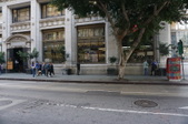 The Last Bookstore