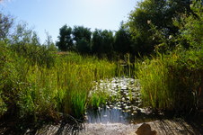 Enlarge photo 5