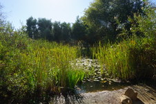 Enlarge photo 6
