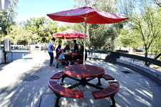 Enlarge photo 10