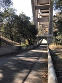 Pasadena Bridge