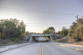 Enlarge photo 20