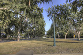 RESIDENTIAL STREETS