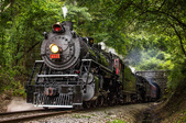 Skunk Train