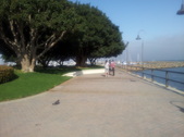 Enlarge photo 19