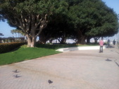 Enlarge photo 13