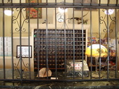 Enlarge photo 15