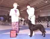 AKC CH and UKC CH Suncoast Liberty Belle