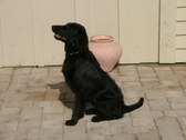 Enlarge photo 13