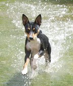 Enlarge photo 7