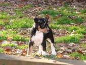 Enlarge photo 23