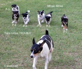 Enlarge photo 13