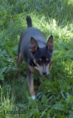 Enlarge photo 5
