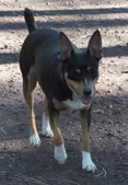 Enlarge photo 6