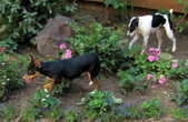 Enlarge photo 4