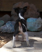Enlarge photo 3