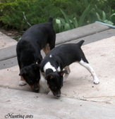 Enlarge photo 7