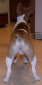 Enlarge photo 12