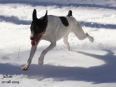 Enlarge photo 9