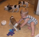 Enlarge photo 8