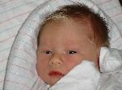 Pictures of the grandkids :-)