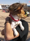 Enlarge photo 8