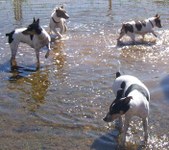 Just hanging out at the house.