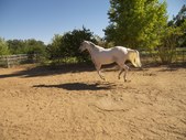Enlarge photo 25