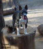 Enlarge photo 3